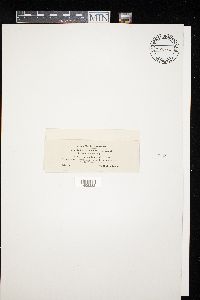 Image Associated With the Occurrence