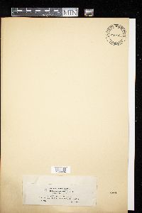 Didymella applanata image