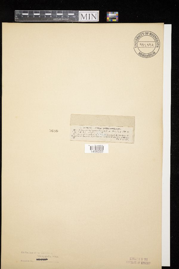 Didymella lophospora image