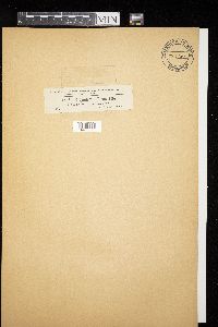 Image Associated With the Occurrence