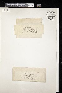 Image Associated With the Occurrence