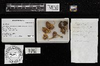 Image Associated With the Occurrence