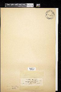 Image Associated With the Occurrence