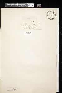 Image Associated With the Occurrence