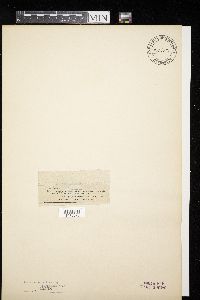 Image Associated With the Occurrence