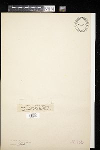 Image Associated With the Occurrence