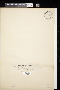 Image Associated With the Occurrence