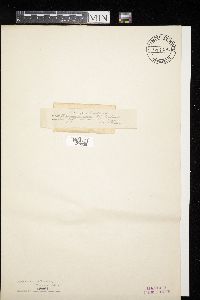 Image Associated With the Occurrence