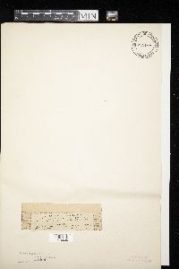 Image Associated With the Occurrence