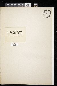 Image Associated With the Occurrence