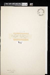 Image Associated With the Occurrence