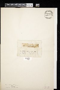 Image Associated With the Occurrence