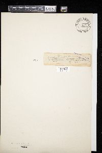 Media resource of Didymosphaeria albescens