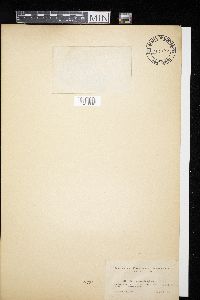 Media resource of Didymosphaeria aphysa