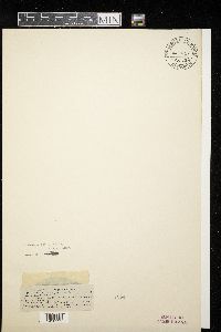 Image Associated With the Occurrence