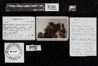 Image Associated With the Occurrence