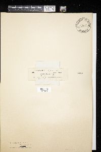 Image Associated With the Occurrence