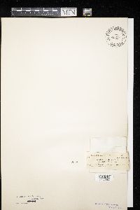 Image Associated With the Occurrence