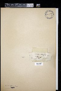 Image Associated With the Occurrence