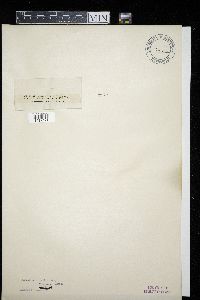 Image Associated With the Occurrence