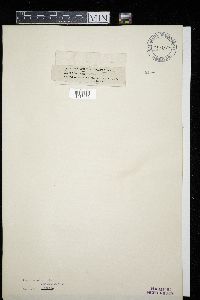 Image Associated With the Occurrence