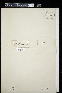 Image Associated With the Occurrence