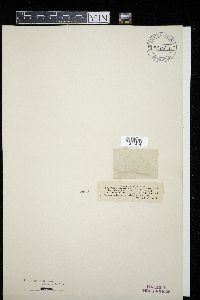 Image Associated With the Occurrence