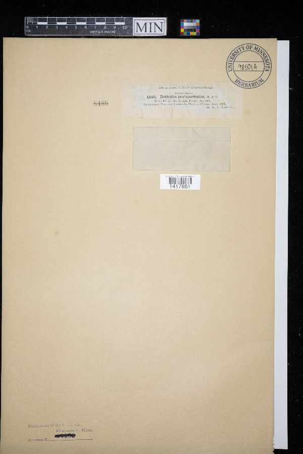 Parodiella perisporioides image