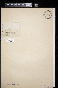 Image Associated With the Occurrence