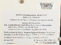 Image Associated With the Occurrence