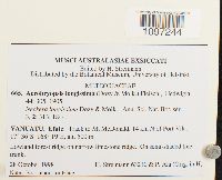 Image Associated With the Occurrence