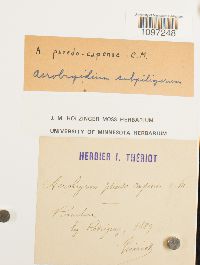 Image Associated With the Occurrence