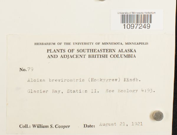 Aloina brevirostris image