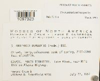 Amblyodon dealbatus image