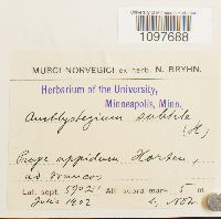 Image Associated With the Occurrence