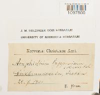 Image Associated With the Occurrence