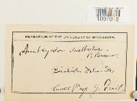 Image Associated With the Occurrence