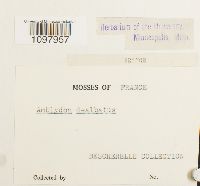 Image Associated With the Occurrence