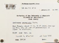 Image Associated With the Occurrence