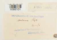 Image Associated With the Occurrence