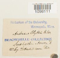 Image Associated With the Occurrence