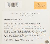 Image Associated With the Occurrence