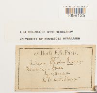 Image Associated With the Occurrence