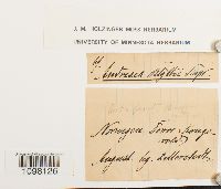 Image Associated With the Occurrence