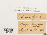 Image Associated With the Occurrence