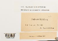 Image Associated With the Occurrence