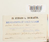 Image Associated With the Occurrence