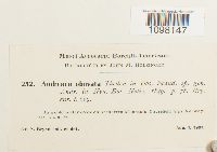 Image Associated With the Occurrence