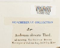 Image Associated With the Occurrence