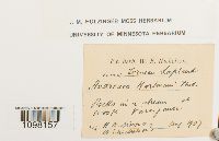 Image Associated With the Occurrence